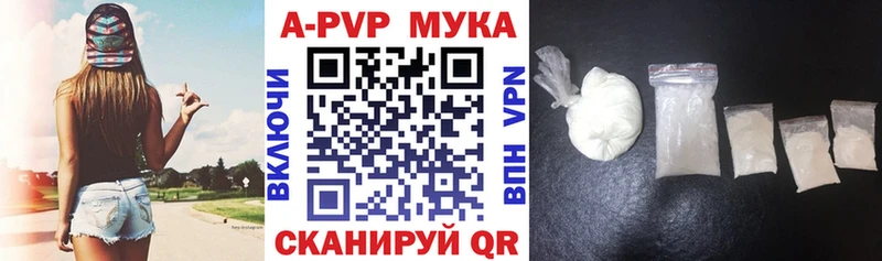 как найти закладки  Берёзовка  Alfa_PVP СК 