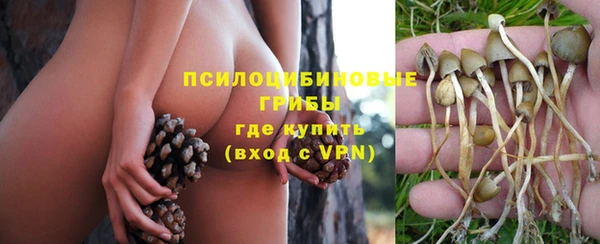 герыч Навашино
