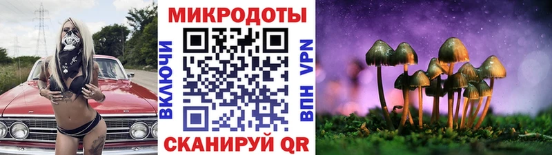 Галлюциногенные грибы мухоморы Берёзовка